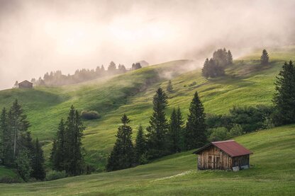 summer_19_Damüls_Uga__c__Michael_Meusburger_-_Bregenzerwald_Tourismus